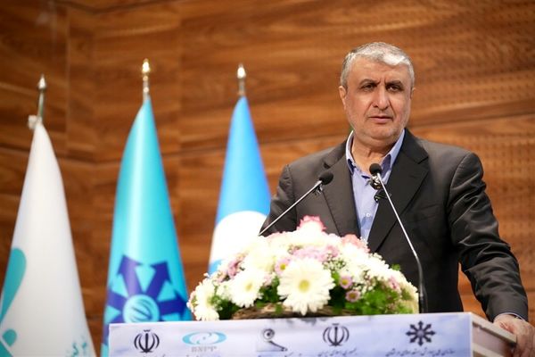 اسلامی: نفوذ و خرابکاری اسرائیل، ایران را به خودکفایی هسته‌ای رساند