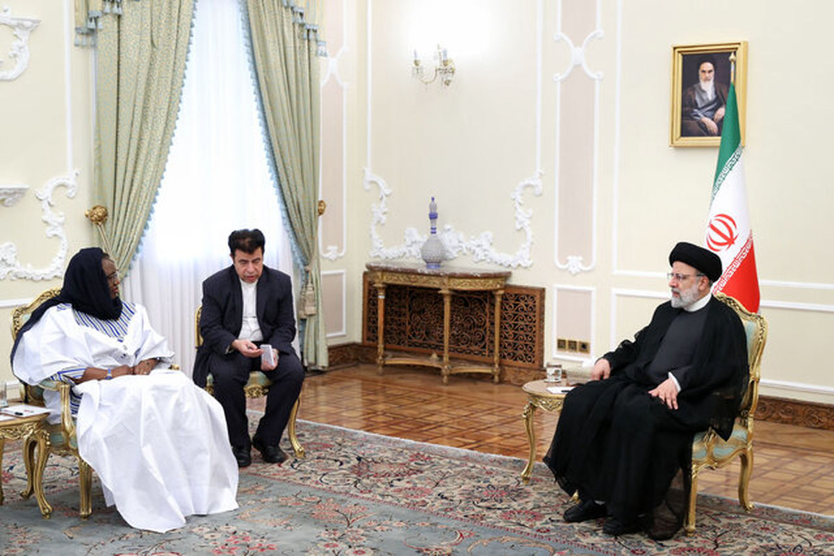 مقاومت کشورهای آفریقایی مقابل استعمار نشانه بیداری و هوشیاری آنان است / فعال شدن کمیسیون مشترک همکاری‌های اقتصادی به تسهیل تبادل ظرفیت‌های متقابل کمک می‌کند