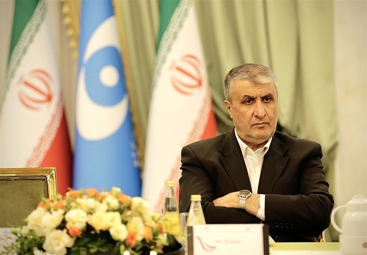 واکنش اسلامی به اظهارات گروسی / نقش مخرب گروسی در تاریخ ثبت شد