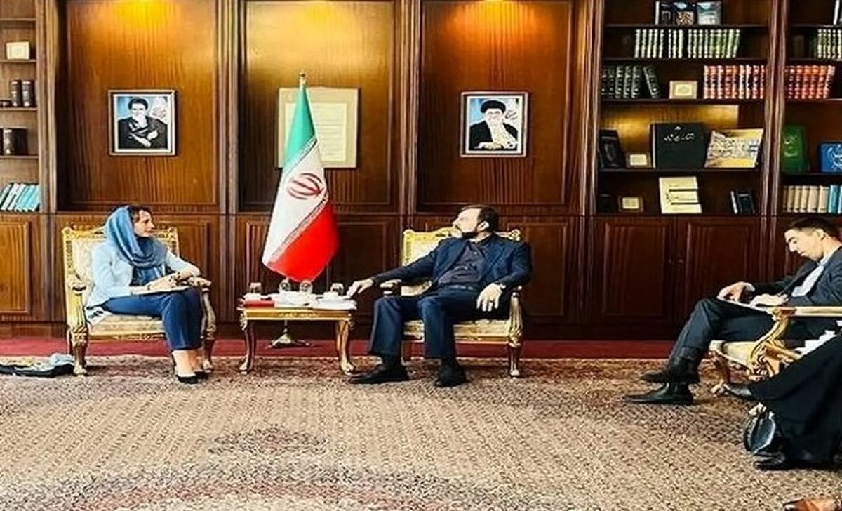 دیدار غریبآبادی با گزارشگر ویژه سازمان ملل