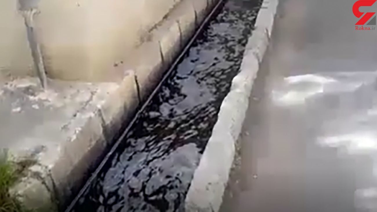 ماجرای فیلم راه افتادن خونابه در جوی های دماوند