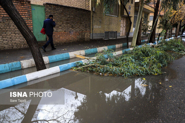 هشدار بارش برای تهران طی فردا