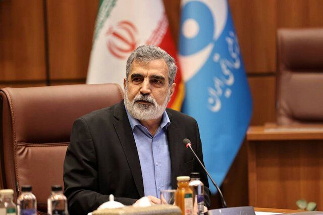کمالوندی:برای تصویب قطعنامه پیشنهادی ایران تلاش می‌کنیم