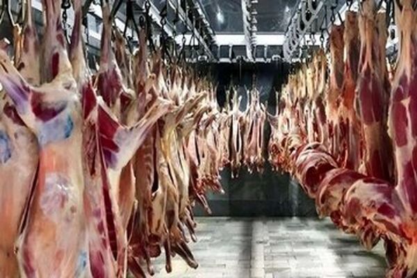 لیست قیمت گوشت قرمز امروز ۷ خرداد | گوشت چرخ کرده چقدر گران شد؟