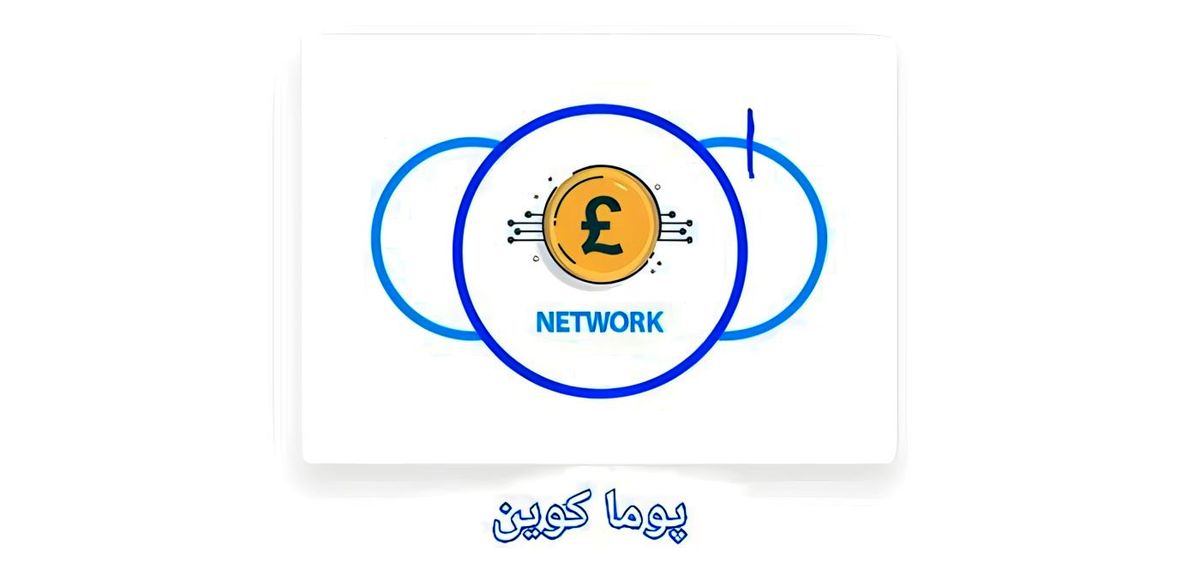 آیا پی کوین کلاهبرداری است؟نحوه تشخیص و مصاحبه با نماینده پوماکوین