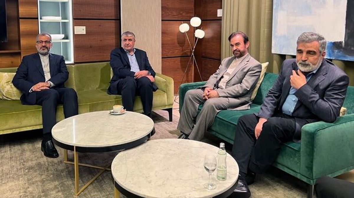 رئیس سازمان انرژی اتمی وارد وین شد