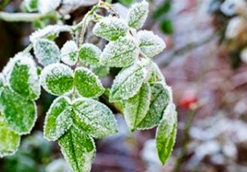 تهران در آستانه سرمای ناگهانی