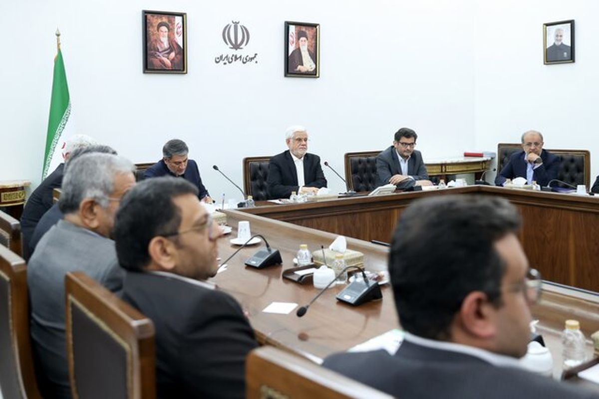 عارف: بخش خصوصی با وجود نوپا بودن خوش درخشید