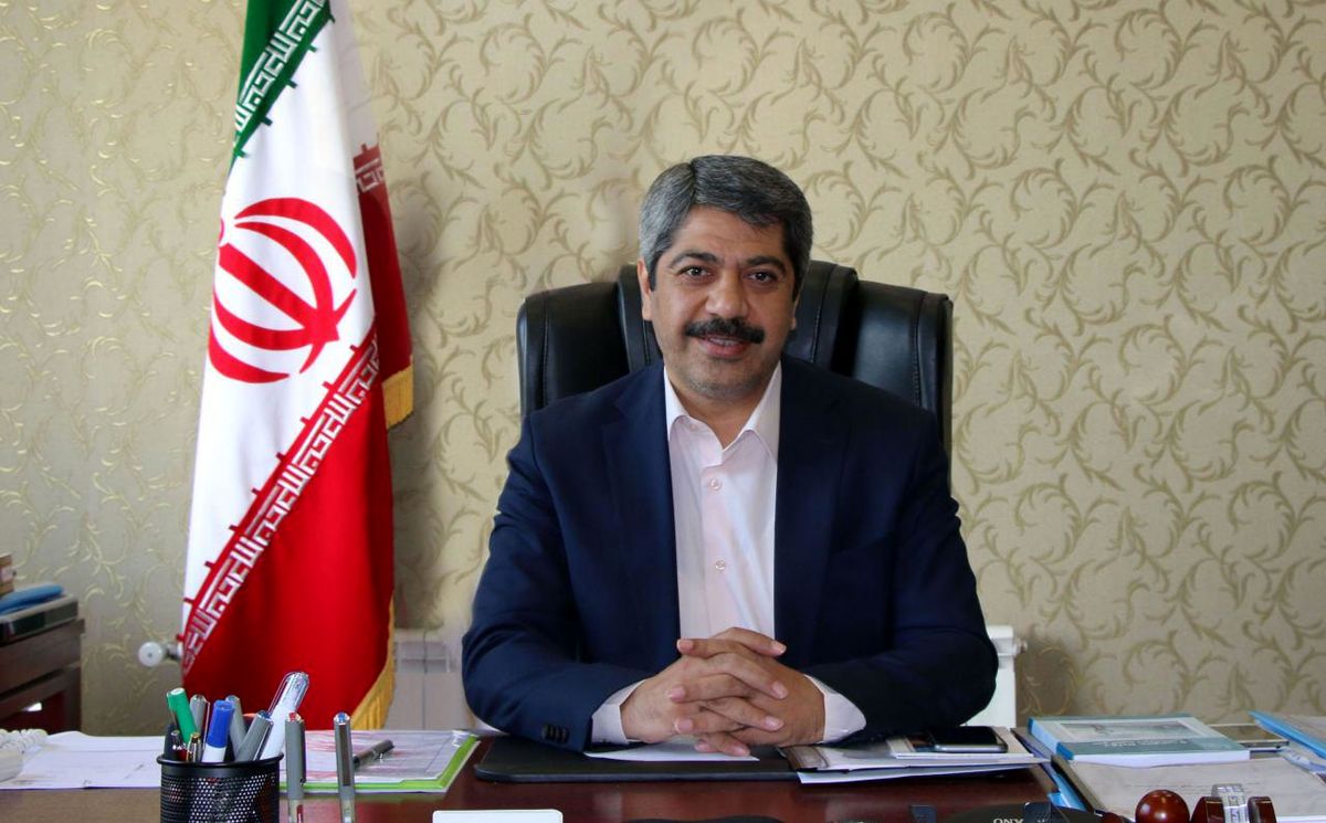 دکتر علیرضا ابراهیم‌پور  مدیرعامل بیمه ملت شد