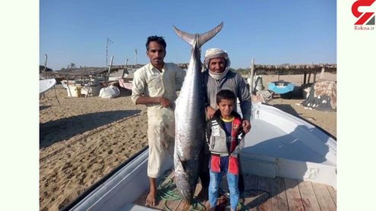 صیاد جاسکی ماهی ۴ میلیونی صید کرد +عکس
