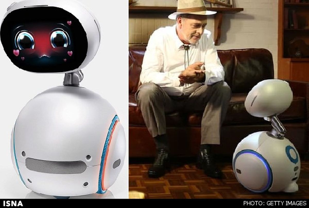 "زِنبو" خدمتکار خانه در خدمت شماست! +عکس