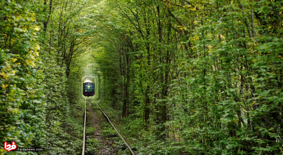 جذاب‌ترین و عجیب‌ترین تونل‌های جهان +عکس