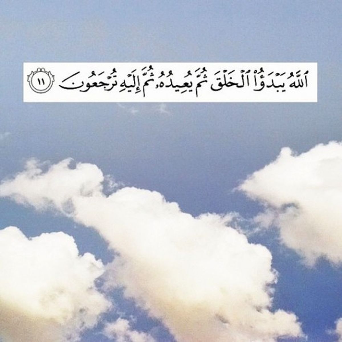 معاد و بازگشت منحصر به انسان است؟