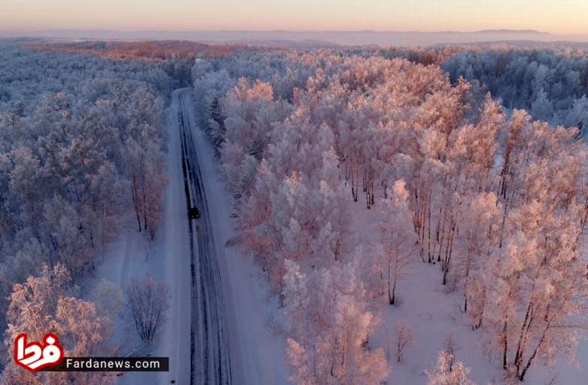 تصاویر: طبیعت یخ زده از سراسر جهان