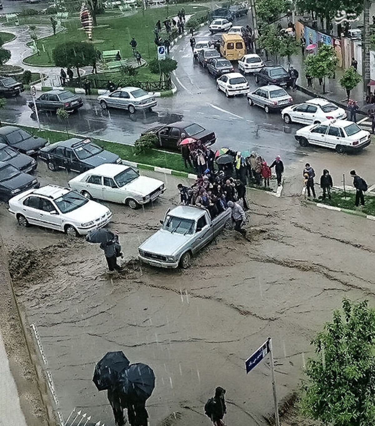 وانتی با معرفت +عکس