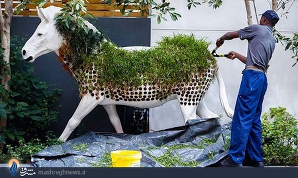 چمن کاری روی اسب/عکس