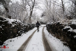 بارش برف در ارتفاعات البرز و تهران