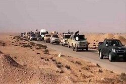 فرار سرکرده‌های داعش از «القائم» به خاک سوریه