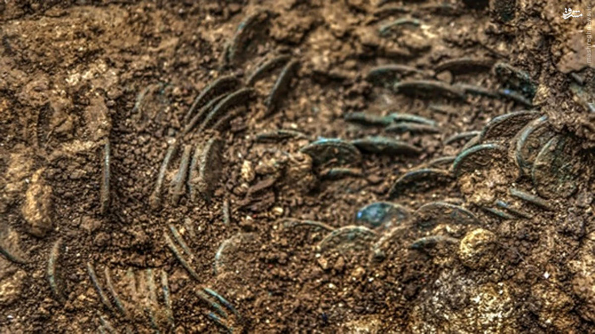 کشاورزی که عتیقه دِرو کرد+عکس