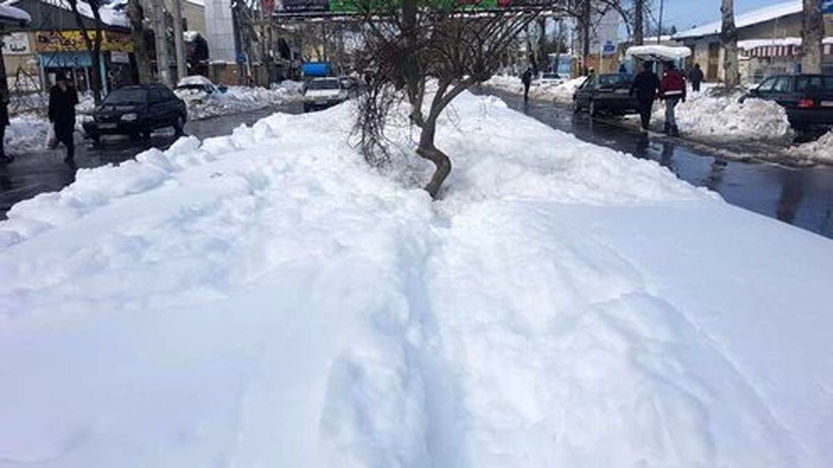 تصاویر: رشت اینچنین زیر برف رفت