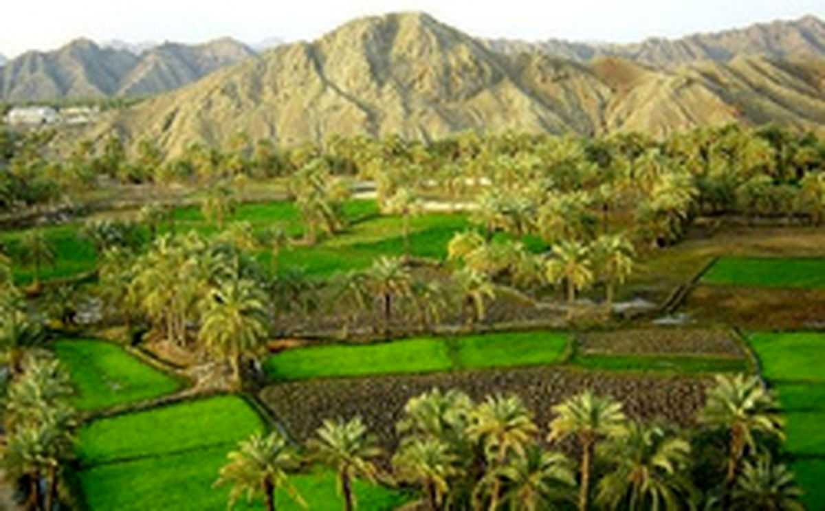 تصاویر: شهر سرسبز جنوب که تابستان‌ها باران دارد!