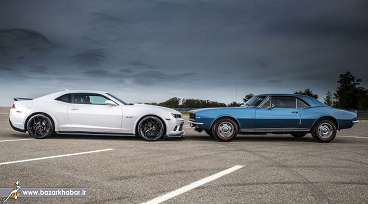 تقابل کامارو ها/عکس