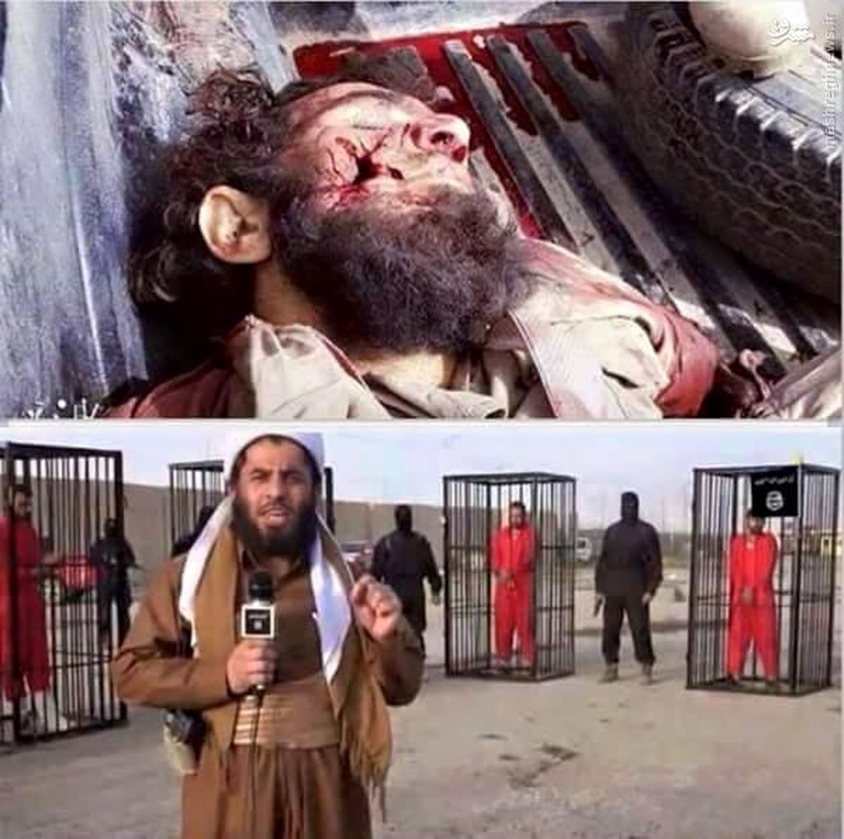 عکس:مجری‌ تلویزیونی "داعش" هدف قرار گرفت