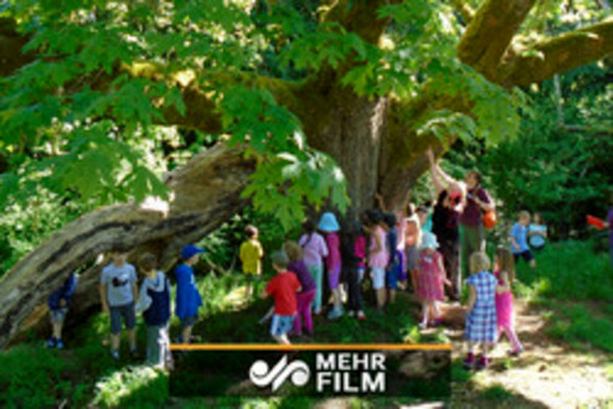 مدرسه‌ای که در آن امتحانی وجود ندارد! +فیلم