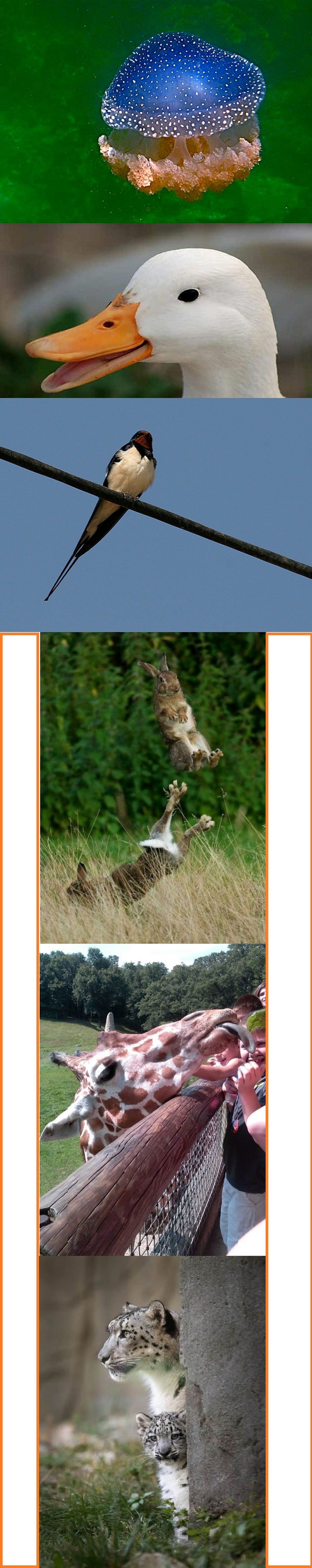 عکس/ بدون شرح