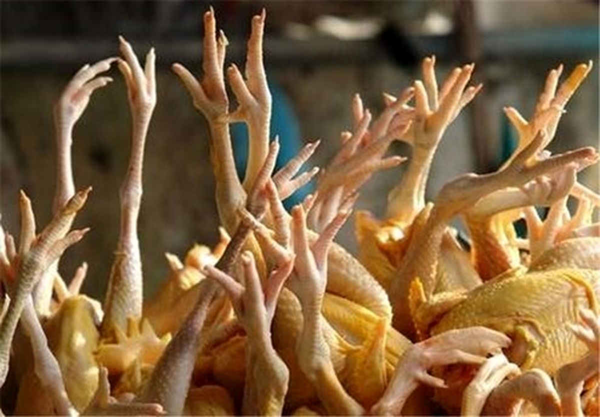 قیمت پای مرغ هم از مرغ بیشتر شد!