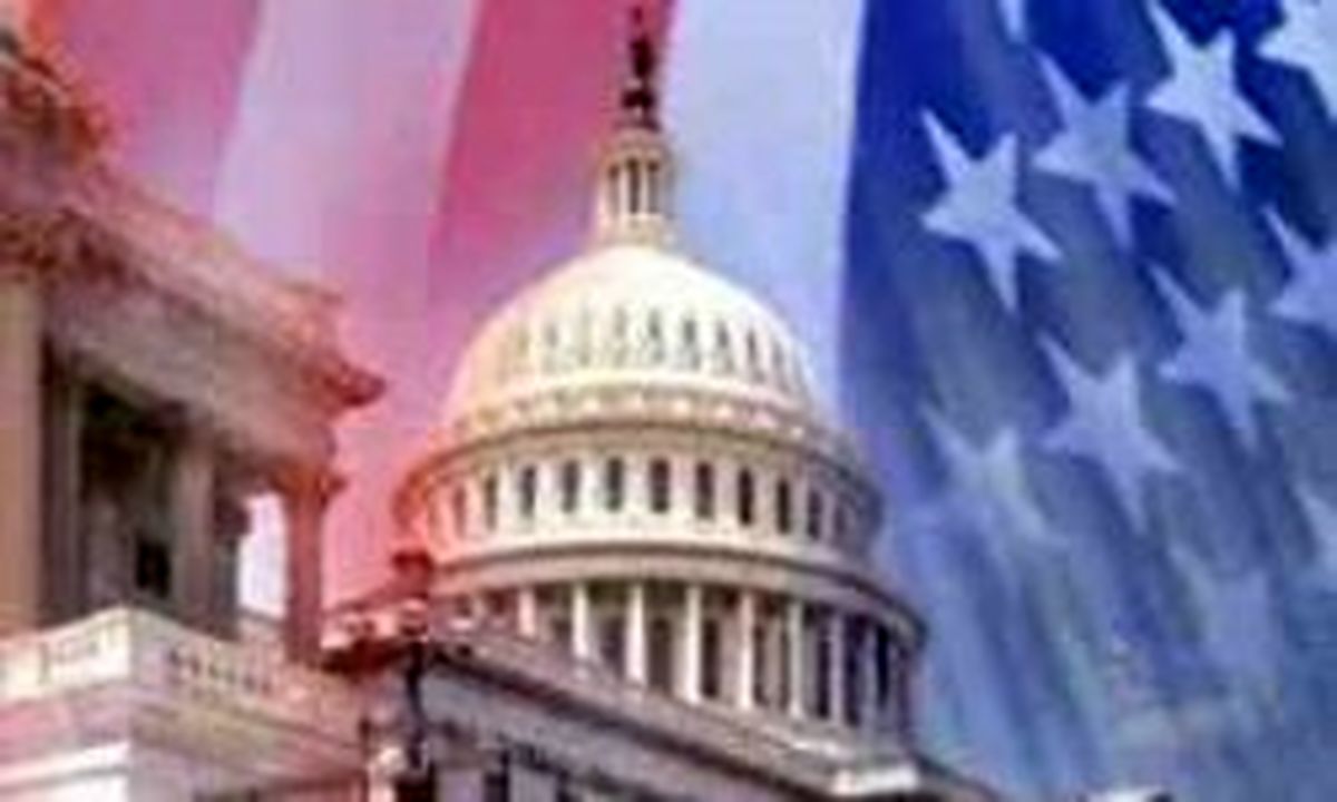 دفتر بوش آتش گرفت