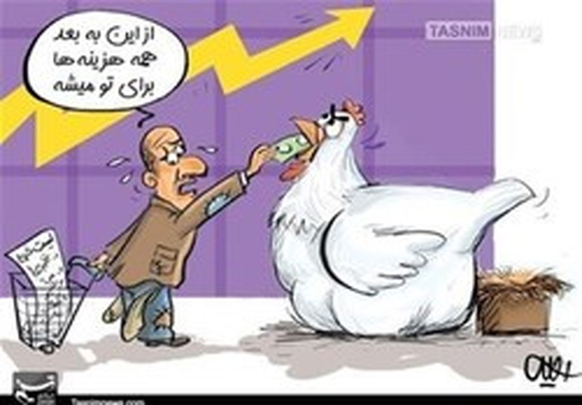 صفر تا ۱۰۰ گرانی تخم مرغ به روایت آمار و ارقام