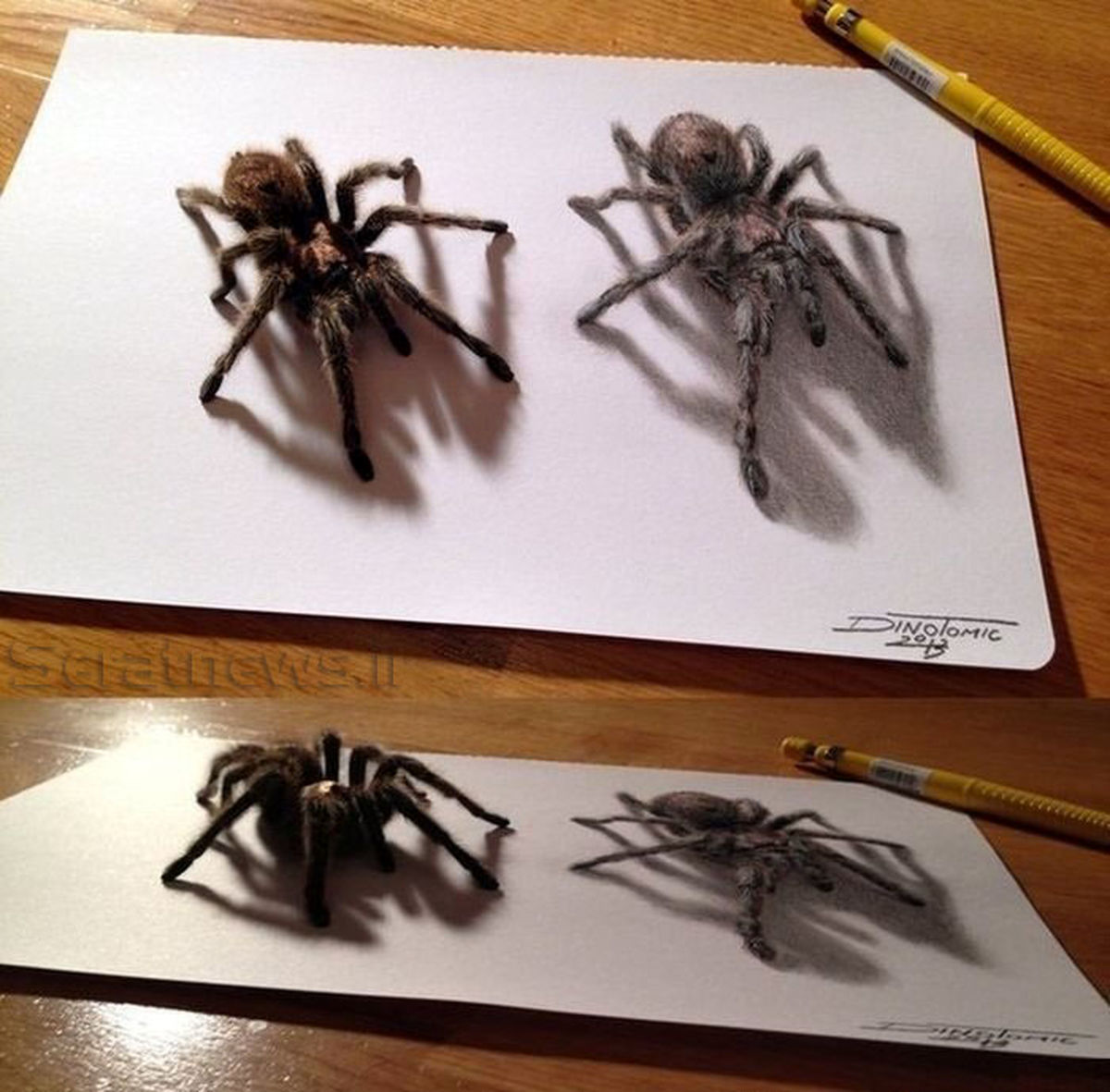 عکس/ نقاشی شگفت انگیز