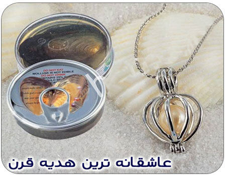 عاشقانه ترین هدیه قرن! + عکس