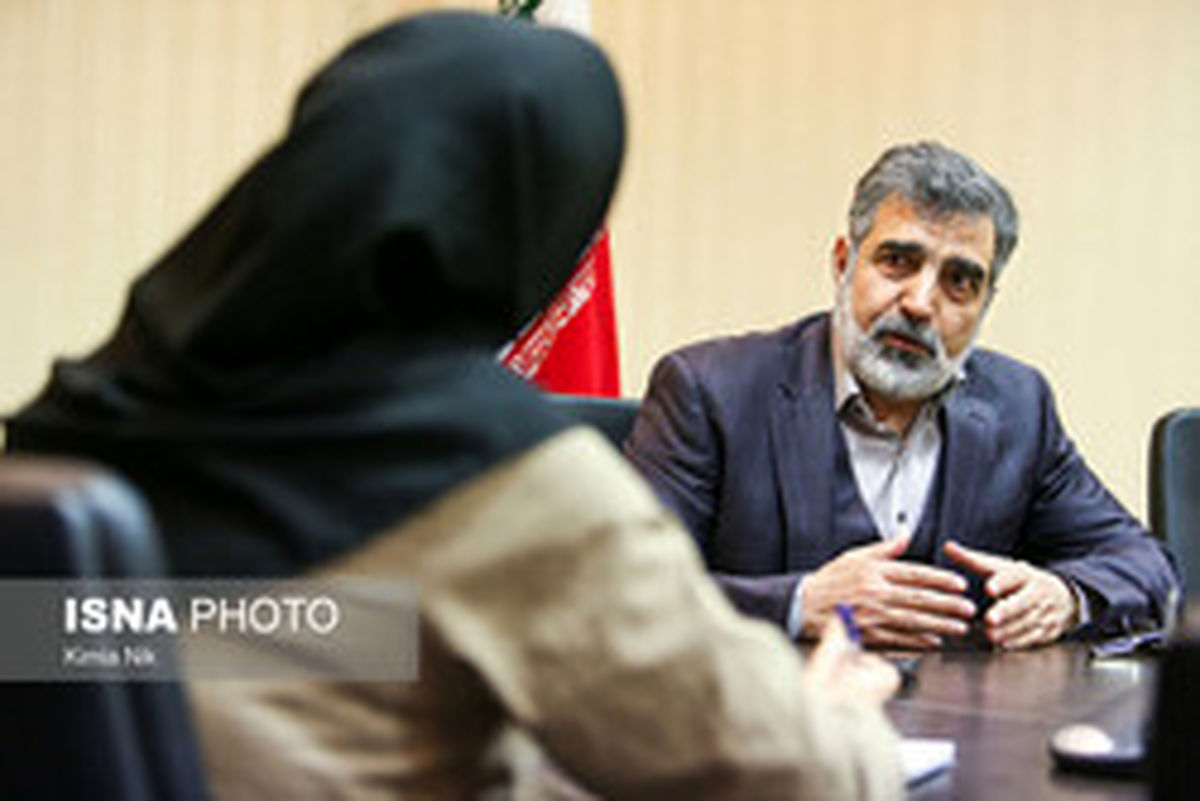 کمالوندی از تأمین بودجه نیروگاه بوشهر با حمایت دولت خبر داد