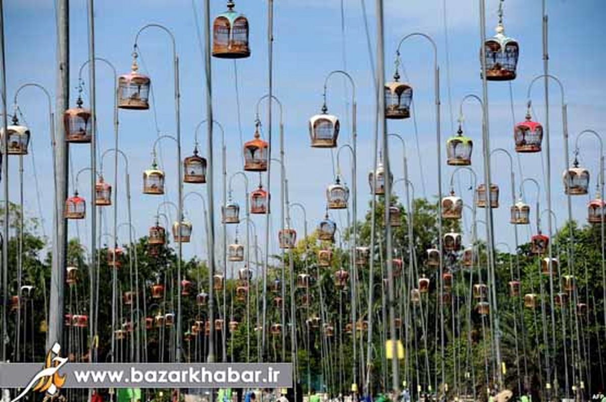 عکسی جالب از لانه پرندگان در تایلند