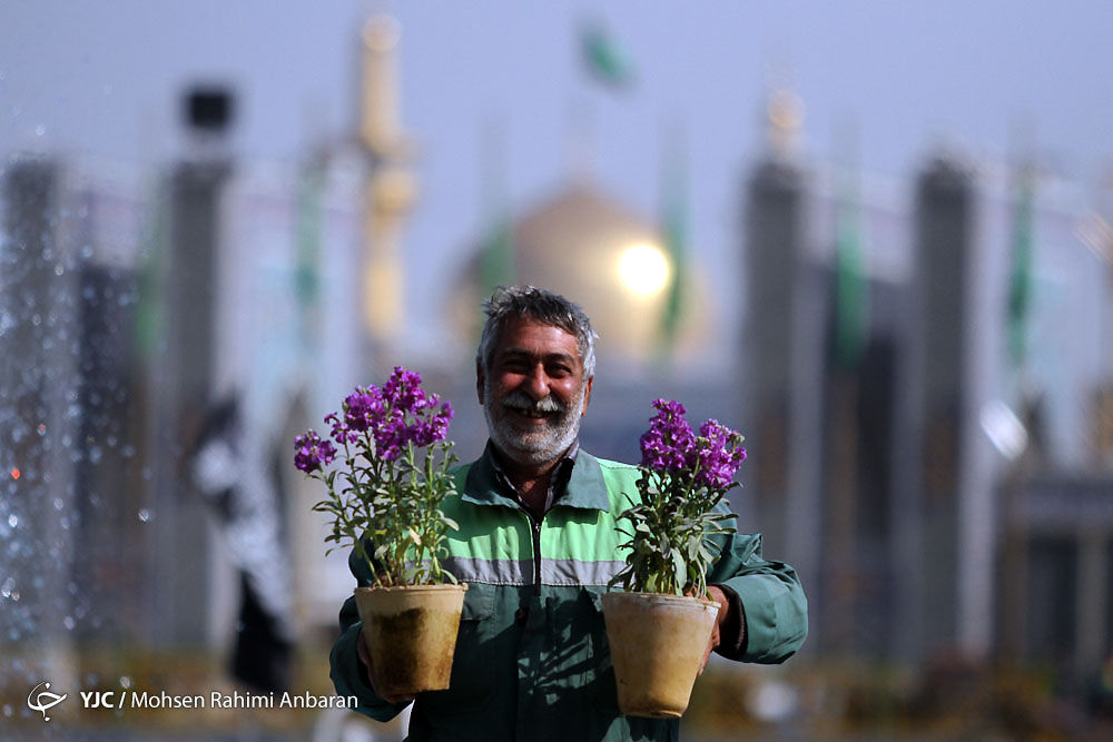 گزارش تصویری: مشهدالرضا در آستانه نوروز