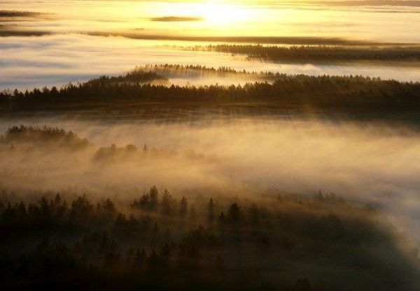 دیدن این تصاویر زیبا را از دست ندهید