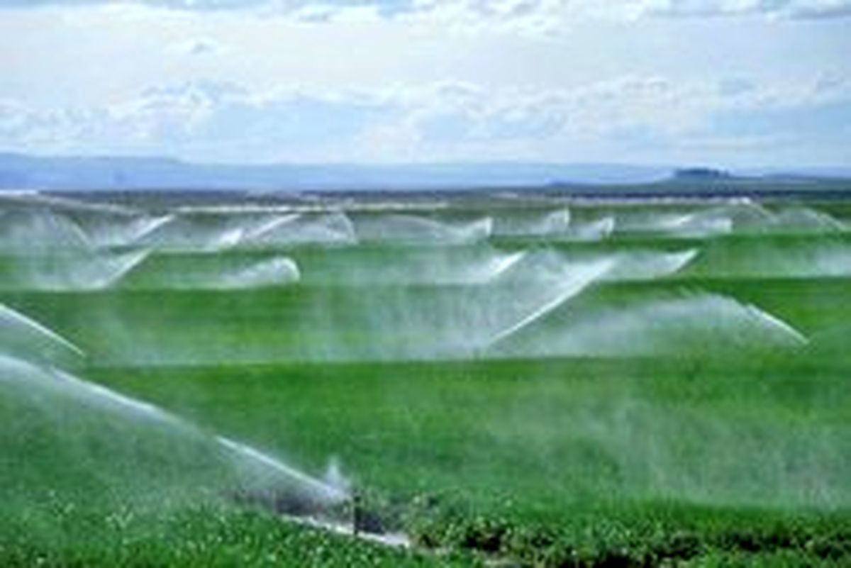 کنفرانس ملی پدافندغیرعامل بخش کشاورزی آغاز شد