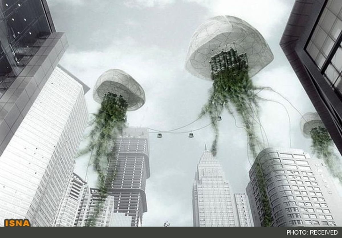 پرواز عروس دریایی برای پاکسازی هوا/تصاویر