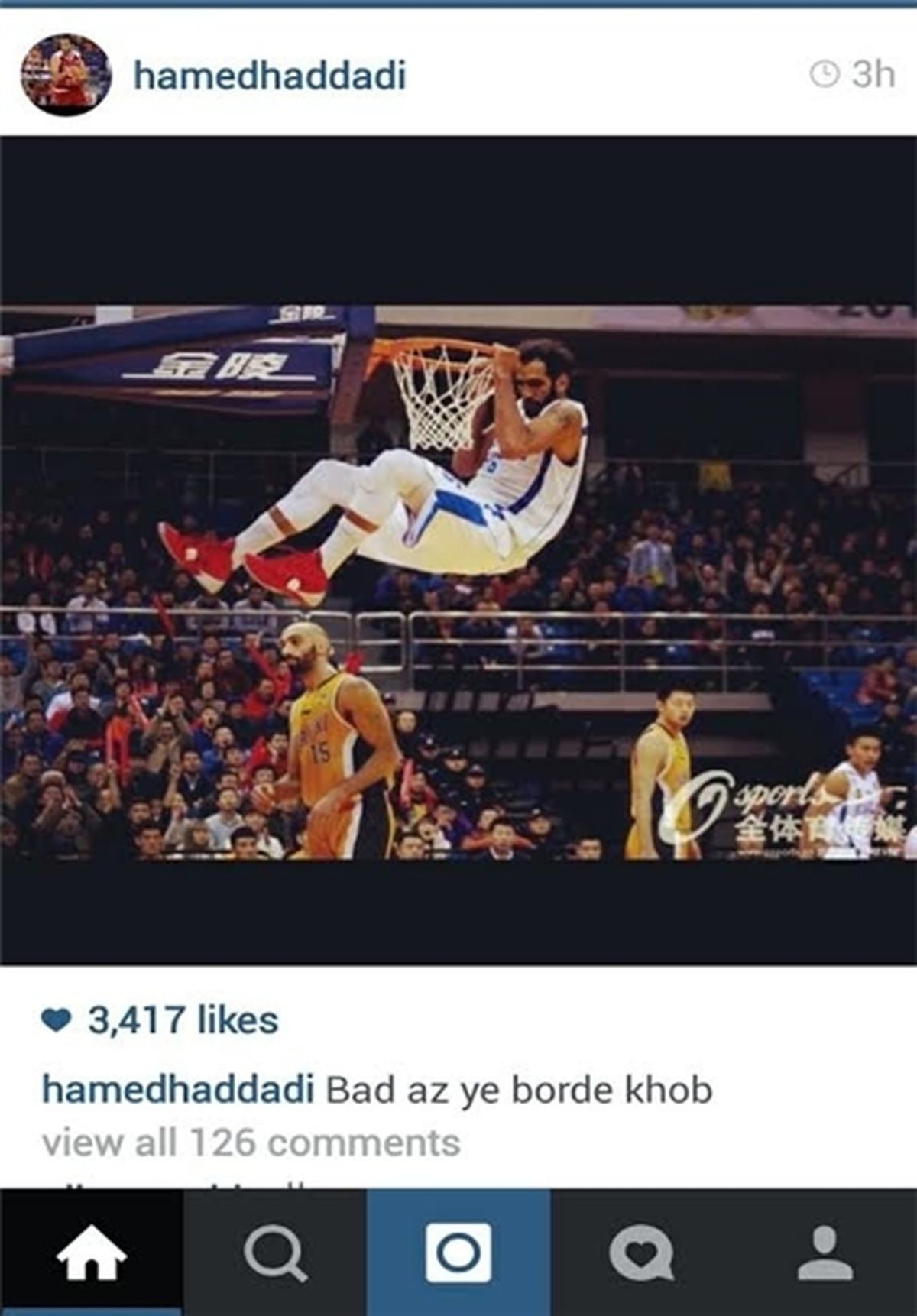 اسلم دانک زیبای حامد حدادی/عکس