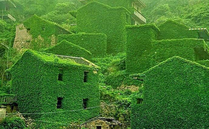 جزیره متروکه عجیب در چین +عکس