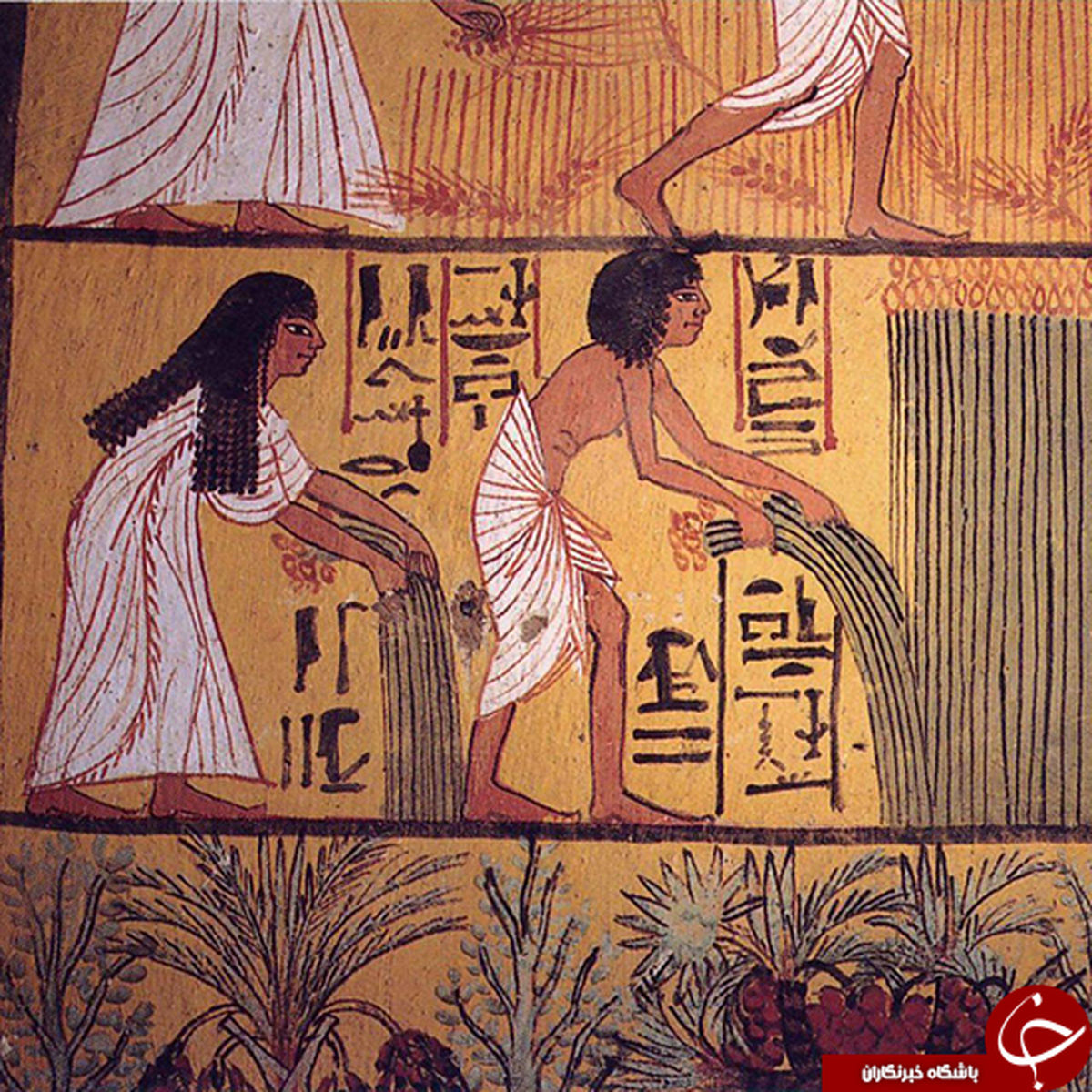 روش جالب تعیین مالیات مصر باستان +عکس