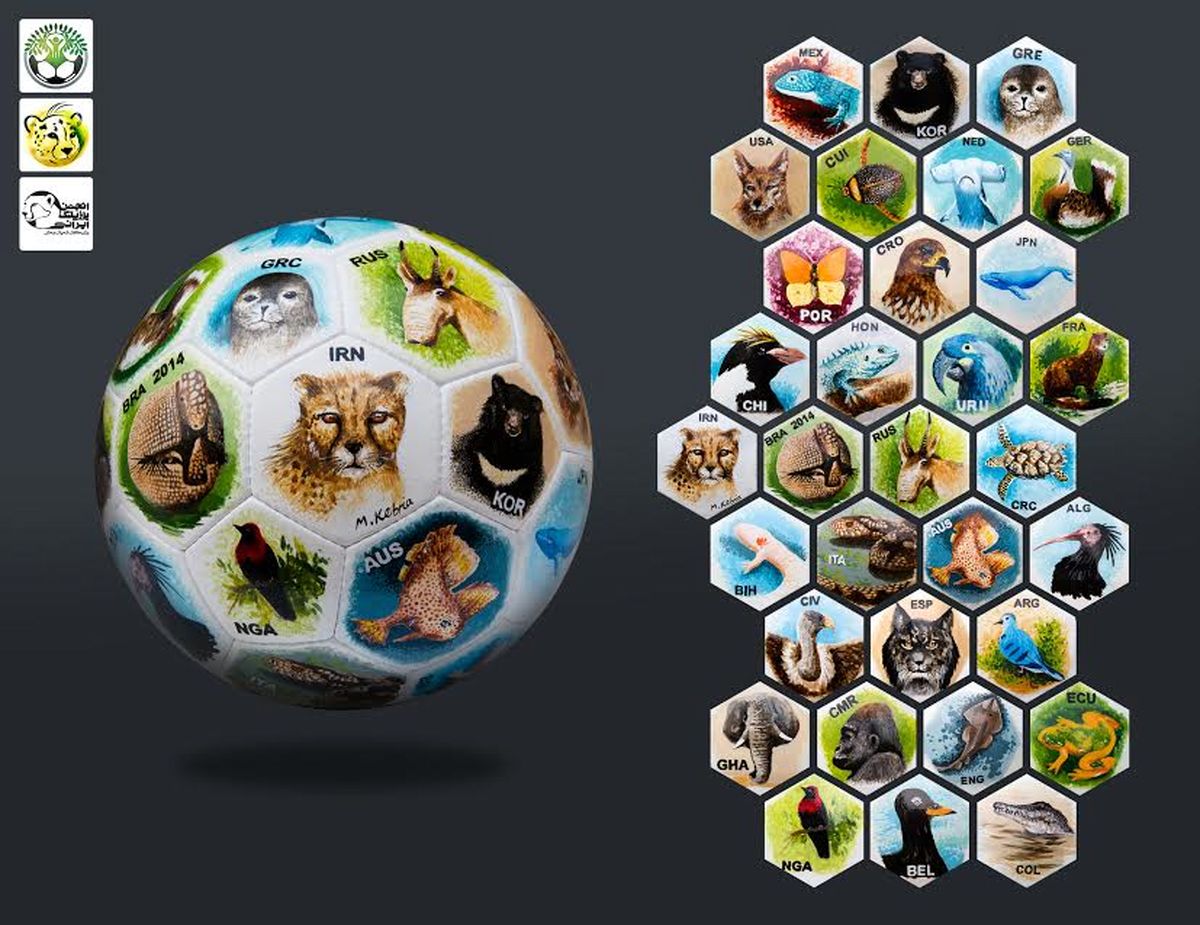 ابتکارزیست‌توپ‌را‌به‌نکونام داد/عکس