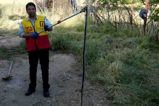 ورود مار ۳ متری به منزل مسکونی در خرم آباد +عکس