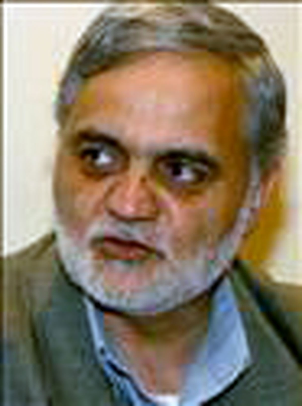 راه چمنی: احزاب برنامه منظمی ندارند