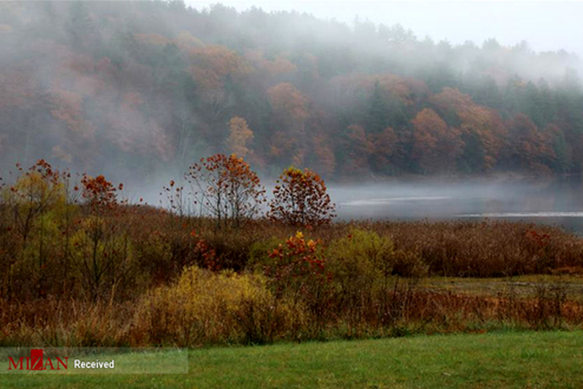 تصاویر: طبیعت پاییزی آمریکا