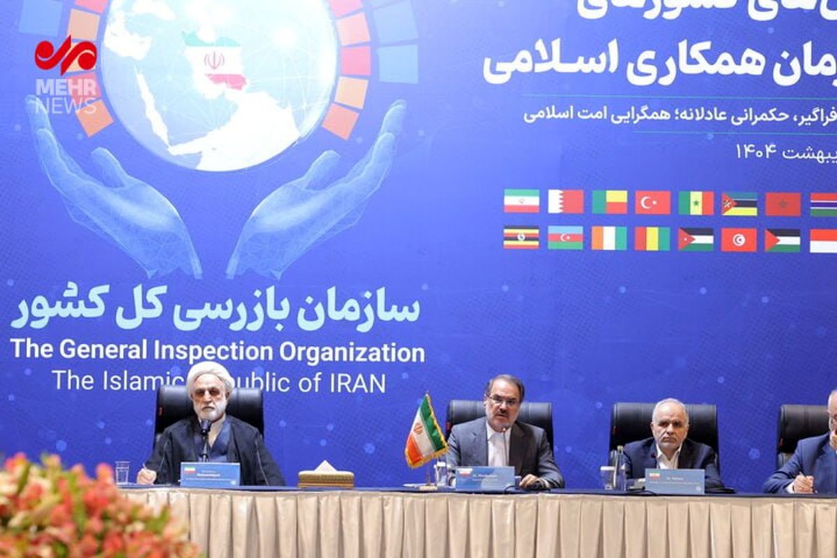 اژه‌ای: کسی که وقعی برای قانون قائل نیست، باید مجازات شود