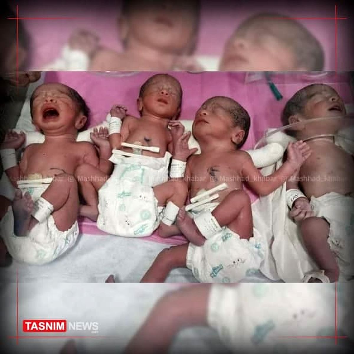 حمایت ویژه آستان قدس رضوی ازچهارقلو‌های مشهدی