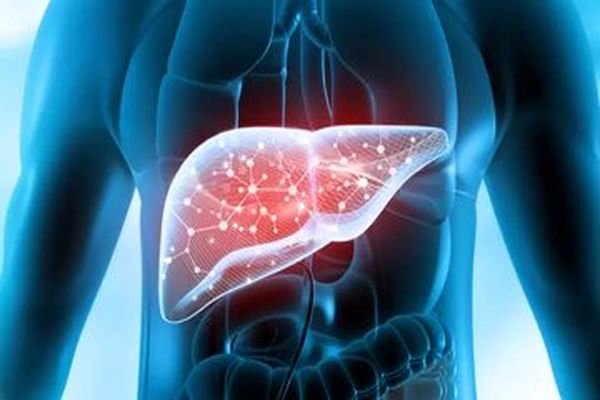 حال کبدتان را خوب کنید